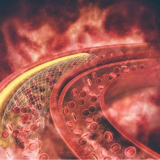 Wzmacnia układ sercowo-naczyniowy